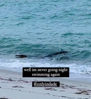 Capturado em vídeo, o réptil tomava um banho nas margens da famosa praia, gerando um misto de espanto e humor nas redes sociais. (Foto: Captura de tela / Instagram)