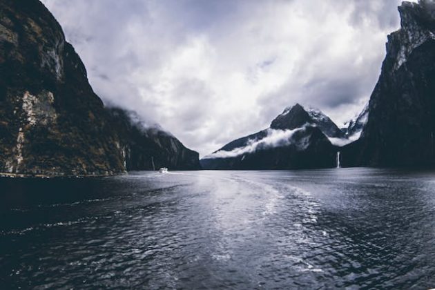 "É como o yeti ou o pé-grande. Um enorme ser que reside nas profundezas do oceano e sobre o qual pouco se sabe", revelou Young. (Foto: Pexels)