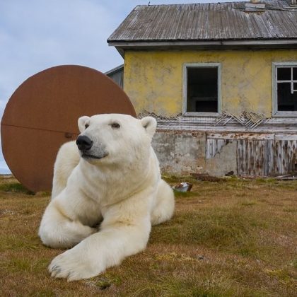 As fotos dos ursos olhando pela janela do prédio em ruínas viralizaram nas redes sociais. (Foto: instagram @master.blaster)