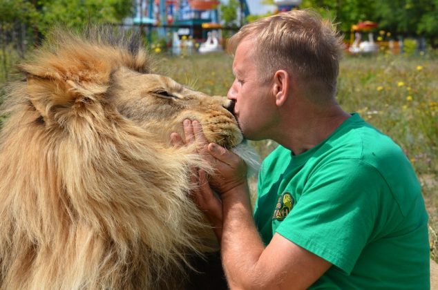 Em uma manobra surpreendente, Zubrov tirou o sapato do pé e ameaçou lançá-lo ao leão dominante." (Imagem: instagram @oleg.zubkov)