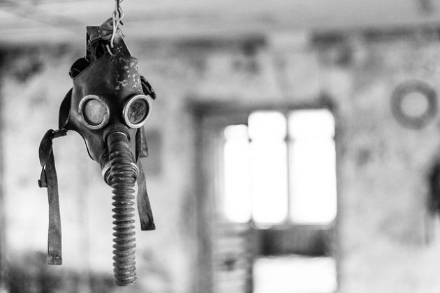 A presença deste fungo em Chernobyl não é apenas uma curiosidade científica; é uma prova de adaptação extraordinária. (Foto: Pixabay)