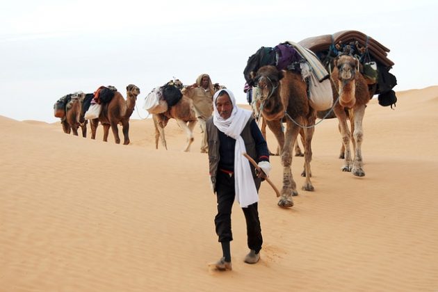 O deserto do Saara pode enfrentar um fenômeno incomum, com previsões de um aumento significativo nas chuvas. (Imagem: pixabay)