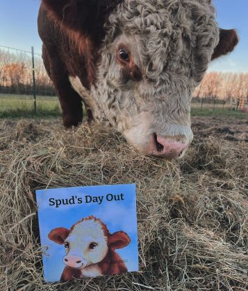 O livro se chama "Spud's Day Out" e conta as aventuras do touro. (Imagem: instagram @spudbull125)