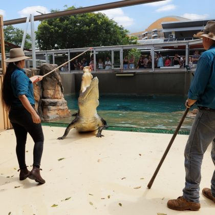 A atração atrai centenas de turistas anualmente. (Imagem: reprodução instagram crocosauroscov)