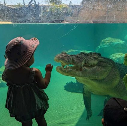 A Gruta dos Crocosauros é um dos destinos turísticos mais controversos. (Imagem: reprodução instagram crocosauroscov)