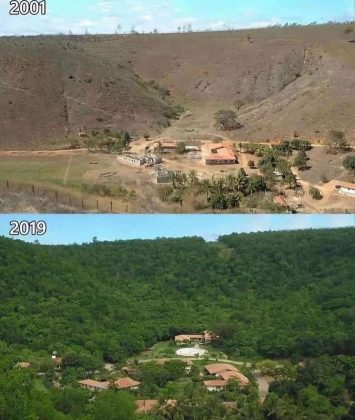 A área restaurada equivale a cerca de 850 campos de futebol padrão. (imagem: instagram)