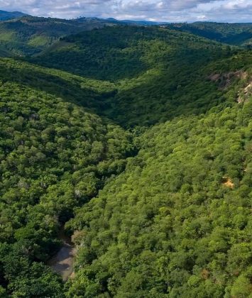 Sebastião Salgado e Lélia Deluiz Wanick reforestaram 1.500 acres em Minas Gerais. (imagem: instagram)