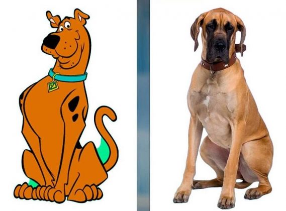 Scooby-Doo é um ícone de coragem e amizade (Imagem: reprodução).