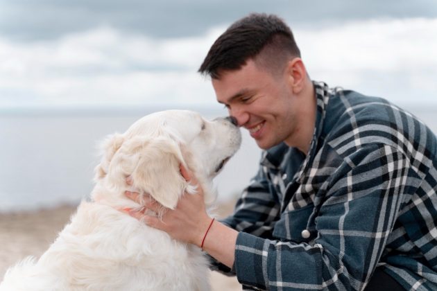 Cérebros de humanos e cães entram em sincronia quando há contato visual (Foto: Freepik)