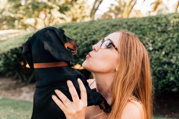 Os estudos elucidam a natureza da relação entre humanos e cães (Foto: Freepik)