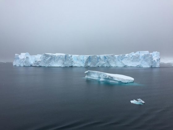 Até 2200, o derretimento das geleiras poderá elevar o nível do mar em até 17 metros (Foto: Pexels)