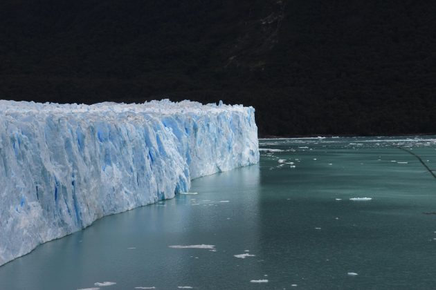 Estudo prevê data em que quase toda a cobertura de gelo da Antártida estará extinta (Foto: Pexels)