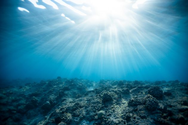 O misterioso som vindo do fundo do mar que intrigou cientistas por 10 anos (Foto: Pexels)