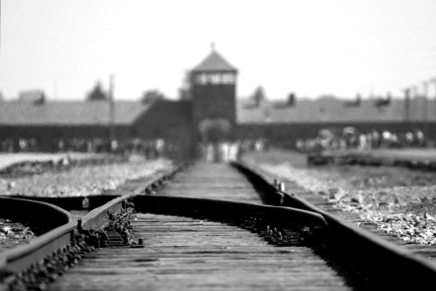 Durante a Primeira Guerra Mundial, milhões de soldados enfrentaram condições extremas. (Imagem: pexels)