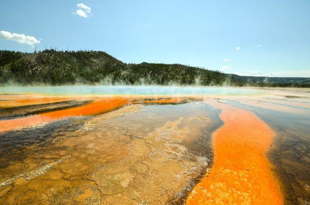 O Parque Nacional de Yellowstone é conhecido por sua beleza selvagem (Foto: Pixabay)