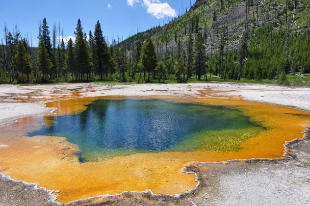 O Parque Nacional de Yellowstone foi cenário de uma trágica história (Foto: Pixabay)