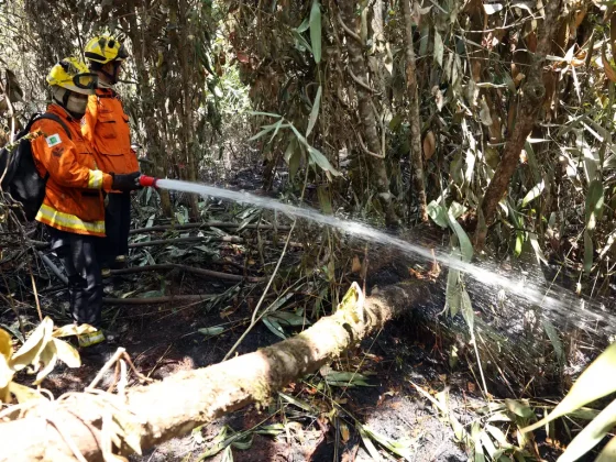 Com a mudança climática excessiva, as queimadas se estrenderam e além dos riscos à biodiversidade. (Foto: Agência Brasil)