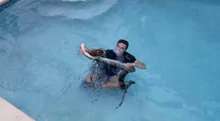 Jacob precisou pular na água para conseguir retirar a cobra de dentro da piscina (Foto: Reprodução/YouTube/Catch em all fishing)