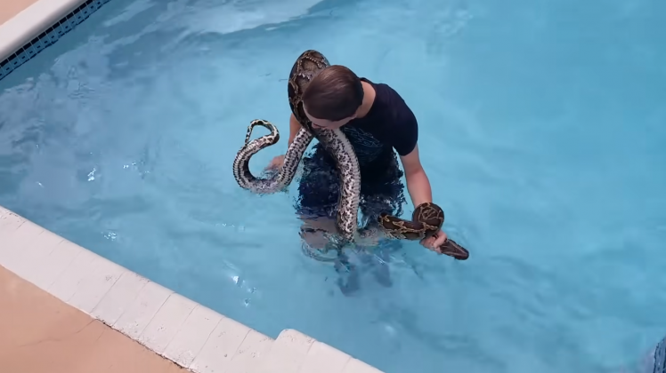 O vídeo de Jacob retirando a cobra da piscina viralizou nas redes sociais (Foto: Reprodução/YouTube/Catch em all fishing)