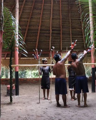 No dia da cerimônia, essas formigas são colocadas em uma cerâmica com água e folhas de cajueiro. (Imagem: reprodução: instagram/@apiboficial)