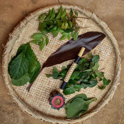 "O Plectranthus barbatus pode ser considerado o papel higiênico africano." (Imagem: reprodução instagram)