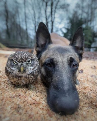 Tanja Brandt disse que Ingo e Poldi já acumulam muitos anos de amizade (Reprodução/ Instagram/@tanja_brandt)