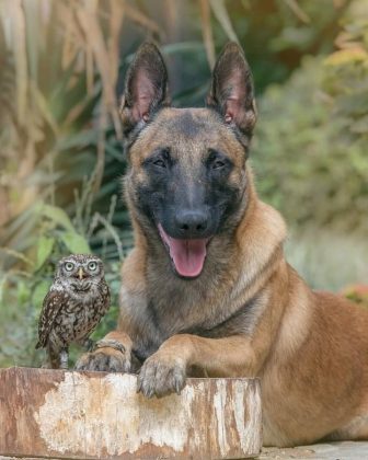 A fotógrafa Tanja Brandt tem encantado a internet com seu trabalho (Reprodução/ Instagram/@tanja_brandt)