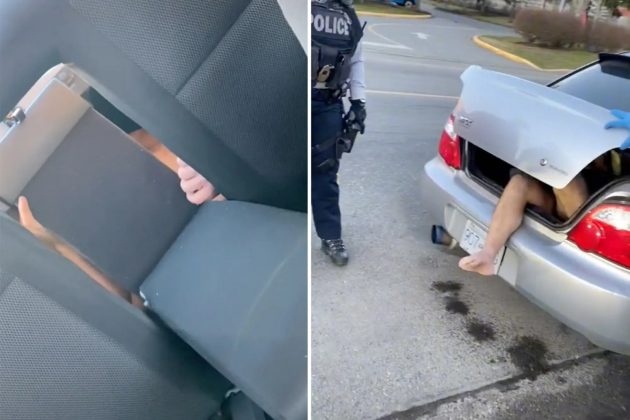 O bizarro caso da mulher que encontrou um homem nu "morando" no porta-malas de seu carro (Foto: Reprodução/TikTok/@bethanycoker)