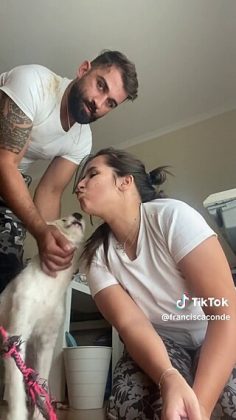 Ela e seu namorado adotaram o cachorro e deram um lar seguro e amoroso para ele (Foto: Reprodução/TikTok/@franciscaconde)