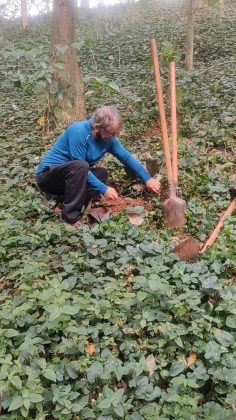 Hélio da Silva plantou mais de 40 mil árvores em duas décadas (Foto: Reprodução/Insatgram/@plantadordearvores_)