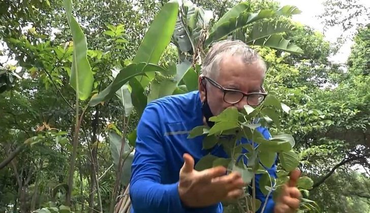 Ele transformou um antigo lixão em um parque na zona leste de São Paulo (Foto: Reprodução/Insatgram/@plantadordearvores_)