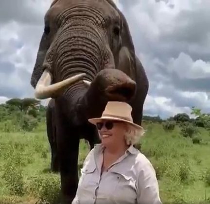 Viralizou nas redes sociais um vídeo que mostra um elefante "roubando" o chapéu de uma mulher (Foto: Reprodução/Instagram)