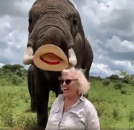 O elefante usou sua tromba ágil para "roubar" o chapéu da mulher (Foto: Reprodução/Instagram)