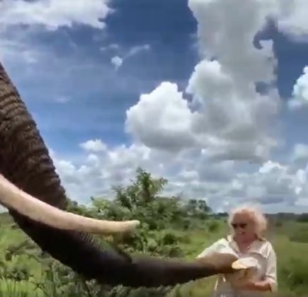 Após alguns segundos, o animal devolveu o chapéu à mulher (Foto: Reprodução/Instagram)