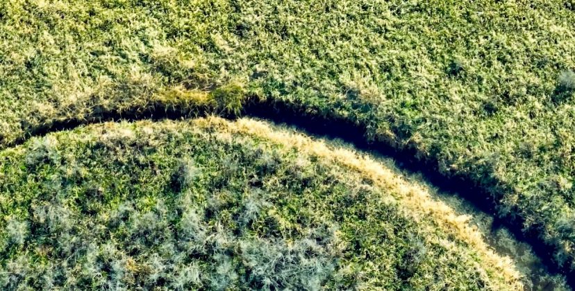 O Olho é, na verdade, uma vegetação flutuante conhecida pelos moradores locais, sem fenômenos sobrenaturais envolvidos (Foto: Reprodução/YouTube/Mariano López)