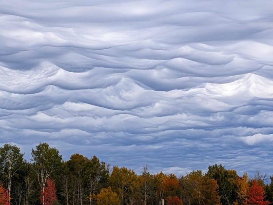 Nuvens do Canadá viralizam por se assemelharem à pintura de Van Gogh (Foto: Reprodução/Redes Sociais)