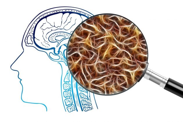 É preciso distinguir entre reclamação tóxica e produtiva, pois pensamentos negativos dominam a mente e alimentam redes neurais prejudiciais (Foto: Pixabay)