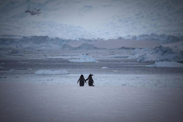 Embora o aquecimento global não tenha sido a causa direta, o fenômeno aumenta a troca de calor e CO₂ entre o oceano e a atmosfera, impactando o clima global (Foto: Pexels)