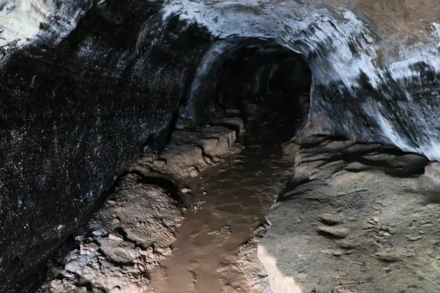 Em 2023, por exemplo, um abrigo de preguiça-gigante foi encontrado em Santana do Livramento, no Rio Grande do Sul (Foto: Miolo Wine Group)