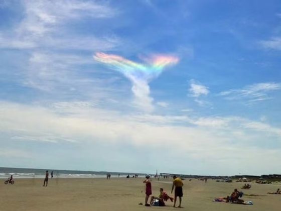 A luz solar se reflete e refrata em ângulos precisos dentro dos cristais (Foto: Reprodução/Instagram/3rdnlong)