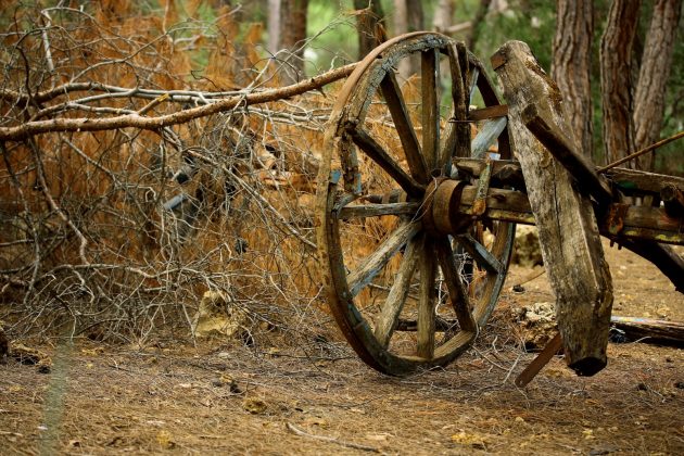 Esse estudo apresenta novas evidências sobre a origem da roda, um dos maiores avanços tecnológicos da humanidade (Foto: Pexels)