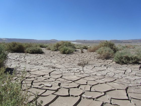 Ele é considerado o deserto mais elevado do planeta. (Imagem: pixabay)