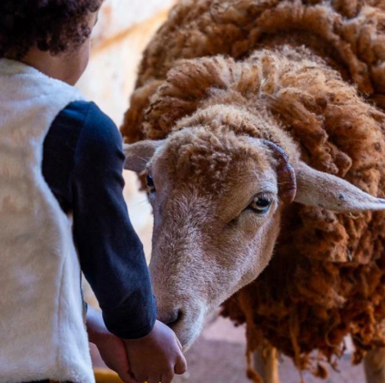 Hoje, a história de Dolly continua a ser um ponto de referência importante. (Imagem: reprodução instagram)