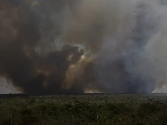 A liberação de gases que insentificam o efeito estufa, as queimadas são responsáveis pela crise climática que pode ocasionar a morte de mais de 12 mil pessoas por ano. (Foto: Agência Brasil)