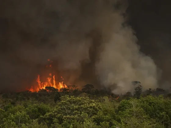 A simulação do estudo aponta que, desse número anual de mortes causadas pelas queimadas, 12,8% faleceram por causa das mudanças climáticas. (Foto: Agência Brasil)