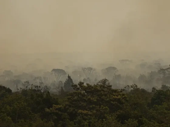 O Brasil pode ser ainda mais prejudicado pelas queimadas florestais em massa. (Foto: Agência Brasil)