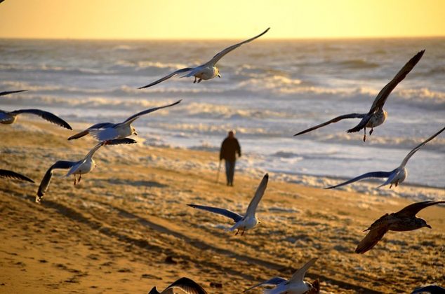 Durante a caminhada, ele não levou comida nem água. (imagem: pixabay)