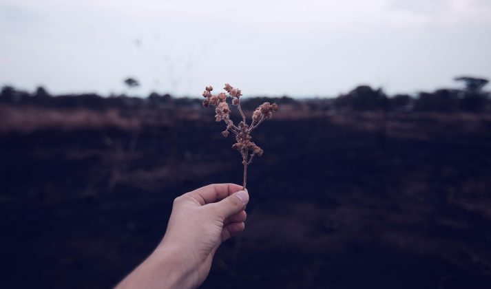 Com o passar dos últimos tempos, houve um aummento da expectativa de vida de outros países, e um verdadeiro salto especificamente no Brasil. (Foto: Pexels)