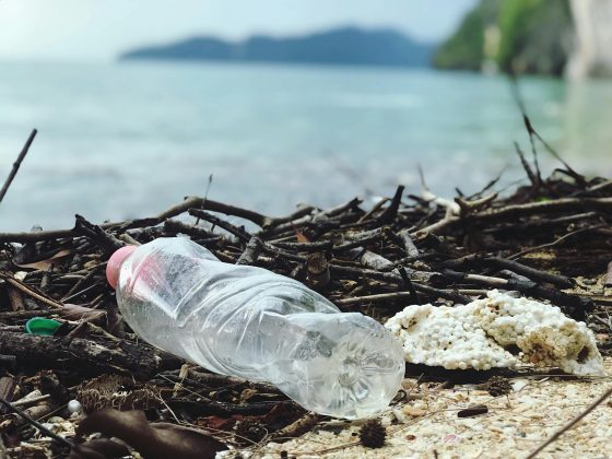 Se nós nos chocamos com o excesso de tragédias ocasionadas por alguns eventos climáticos, é melhor nos preparamos para o que está por vir nos próximos 20 anos. (Foto: Pexels)