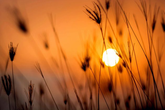 Grande mistério por trás do Sol pode ter sido descoberto por cientistas. (Foto: Pexels)